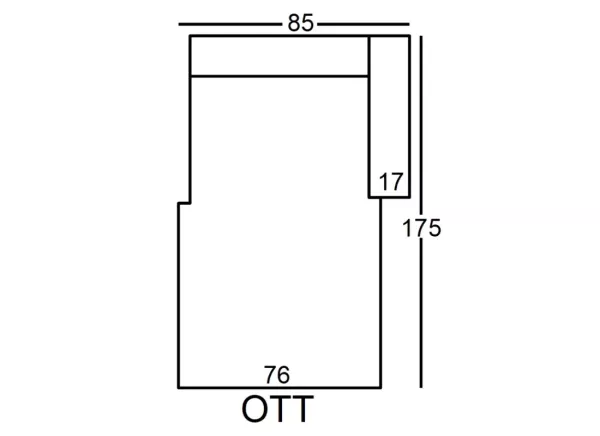 morrison-rzut-ott